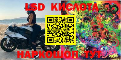 прущие грибы Ипатово